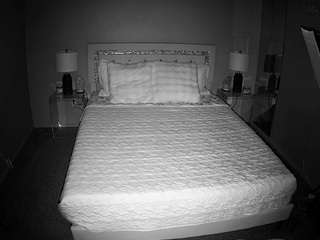 voyeurcam-whitneyoc-01