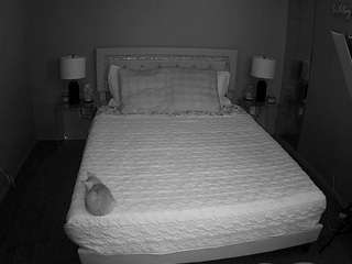 voyeurcam-whitneyoc-01