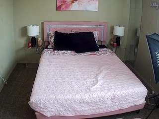 voyeurcam-whitneyoc-01