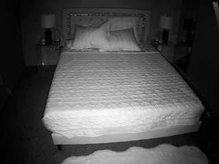 voyeurcam-whitneyoc-01