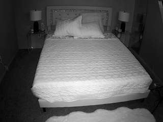 voyeurcam-whitneyoc-01