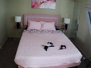 voyeurcam-whitneyoc-01