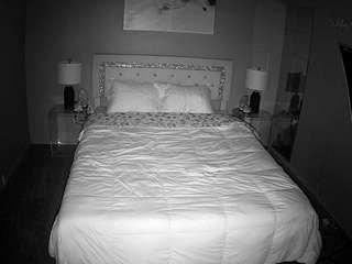 voyeurcam-whitneyoc-01