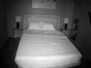 voyeurcam-whitneyoc-01