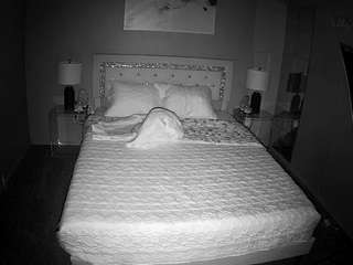 voyeurcam-whitneyoc-01