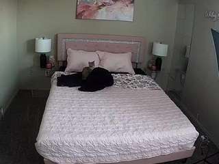 voyeurcam-whitneyoc-01