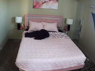 voyeurcam-whitneyoc-01