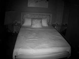 voyeurcam-whitneyoc-01