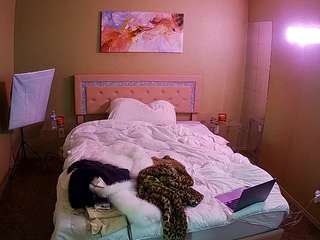 voyeurcam-whitneyoc-01 webcam
