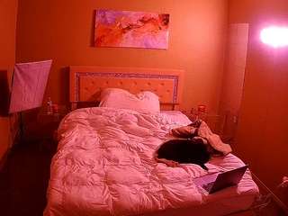 voyeurcam-whitneyoc-01 webcam
