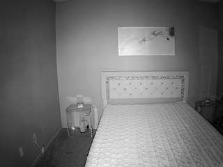 voyeurcam-whitneyoc-01