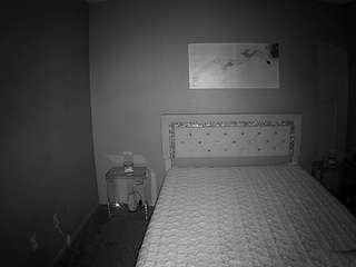 voyeurcam-whitneyoc-01