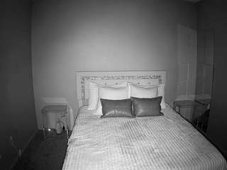 voyeurcam-whitneyoc-01