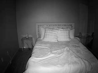 voyeurcam-whitneyoc-01