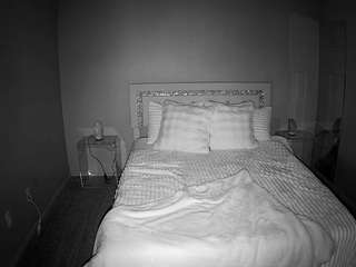 voyeurcam-whitneyoc-01