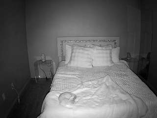 voyeurcam-whitneyoc-01