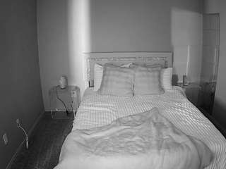 voyeurcam-whitneyoc-01