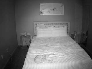 voyeurcam-whitneyoc-01