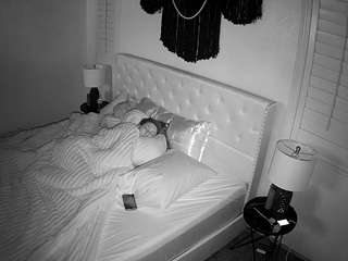 voyeurcam-whitneyoc-01