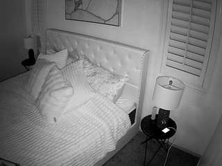 voyeurcam-whitneyoc-01