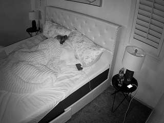 voyeurcam-whitneyoc-01