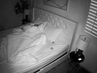voyeurcam-whitneyoc-01