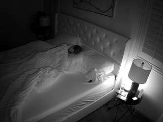 voyeurcam-whitneyoc-01