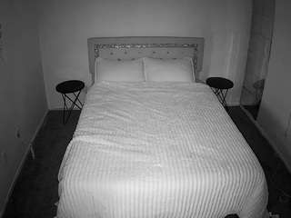 voyeurcam-whitneyoc-01