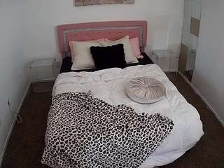 voyeurcam-whitneyoc-01