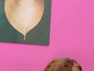 kinkyandsavage webcam