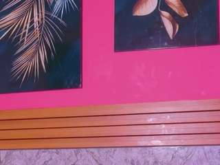 kinkyandsavage webcam