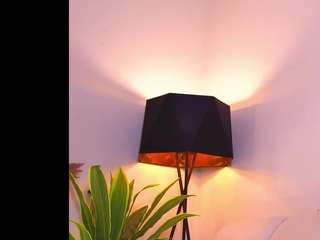 lynettearrowsmith webcam