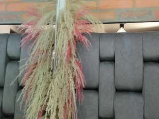 jessy-cortes Live Webcam on CamSoda