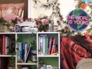 average-girl live webcam show