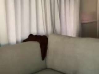 ervinemptygutters webcam