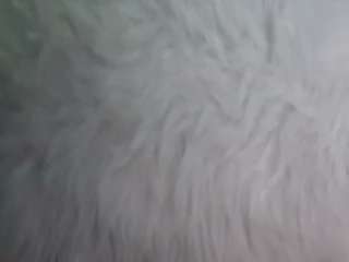 ghostntoast1