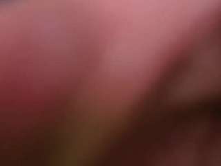 evanew