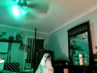 hookemchamp webcam model