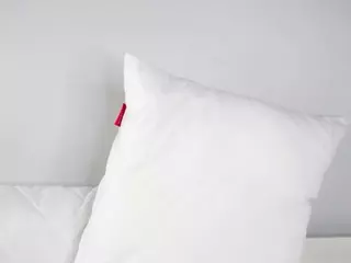 ElwynaHeckler's Live Sex Cam Show