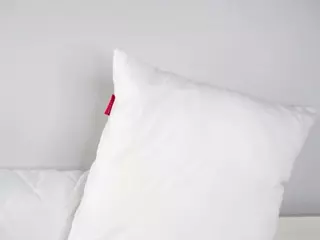 ElwynaHeckler's Live Sex Cam Show