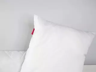 ElwynaHeckler's Live Sex Cam Show