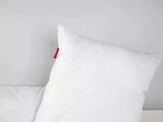 ElwynaHeckler's Live Sex Cam Show