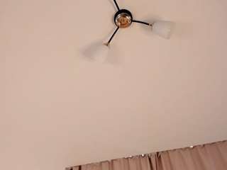 rexannecrull webcam