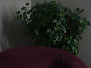 rexannecrull