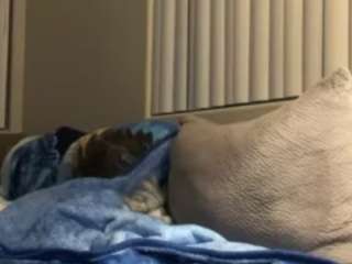 carmenbabii250 Live Webcam on CamSoda