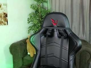 ronifox webcam