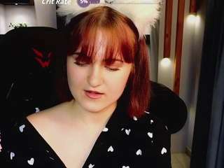ronifox webcam