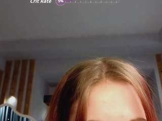 ronifox webcam model