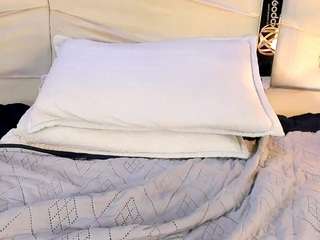 catarinamayer