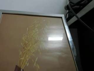 katherynvidal webcam